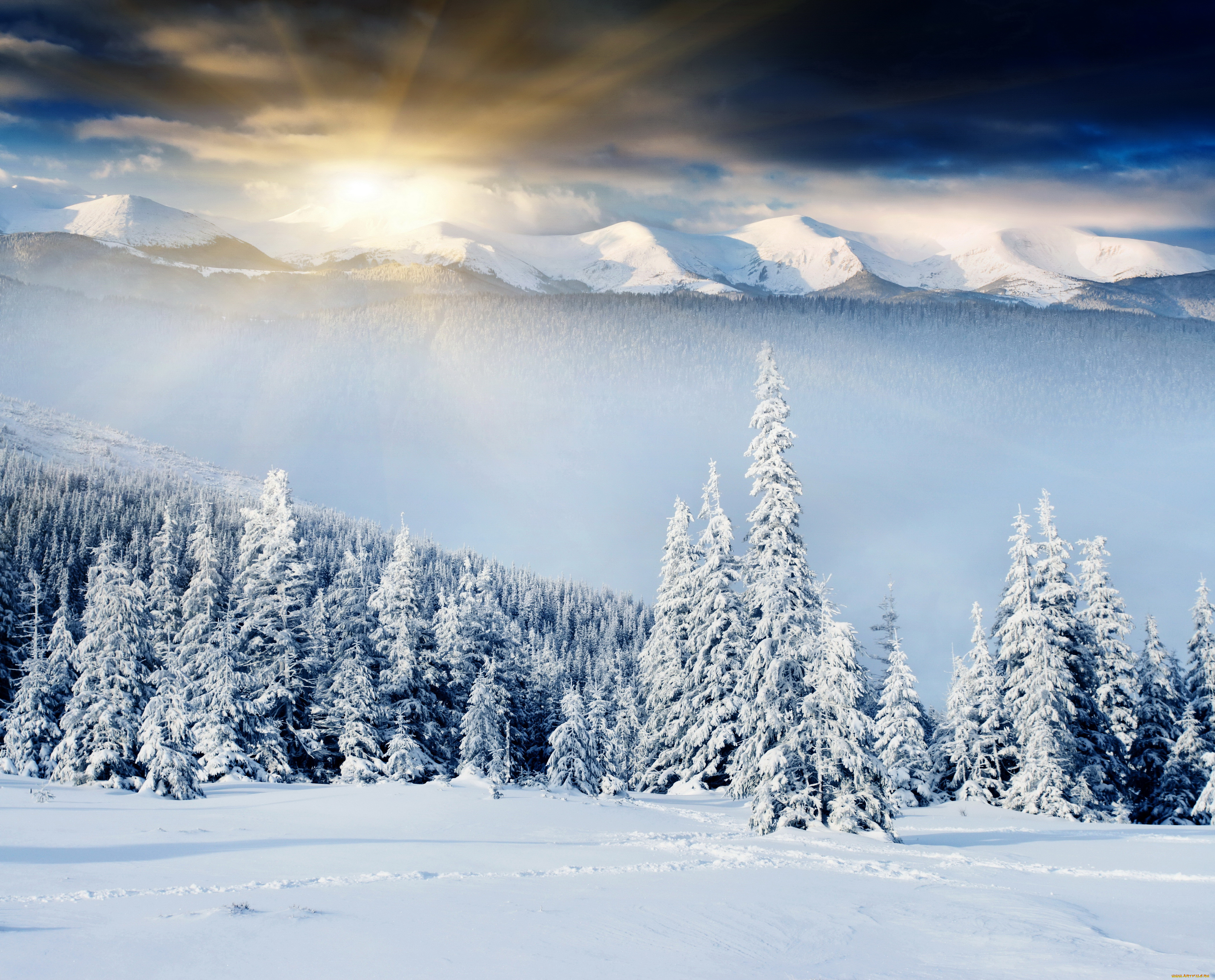 Красивые фото природы пейзажи зима