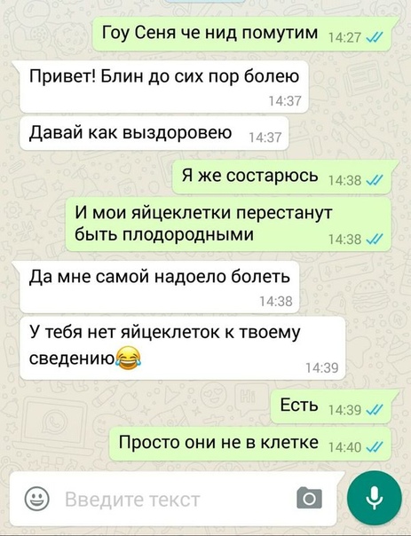 Смешные фото на группу в ватсапе